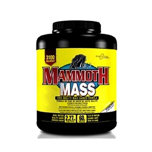 Mammoth Mass - 5lb - Hyperforme Staging