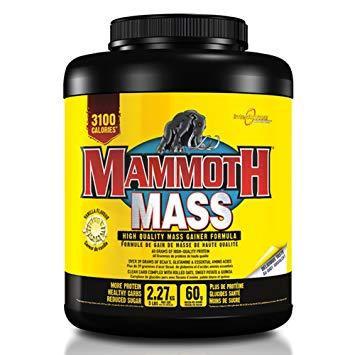 Mammoth Mass - 5lb - Hyperforme Staging